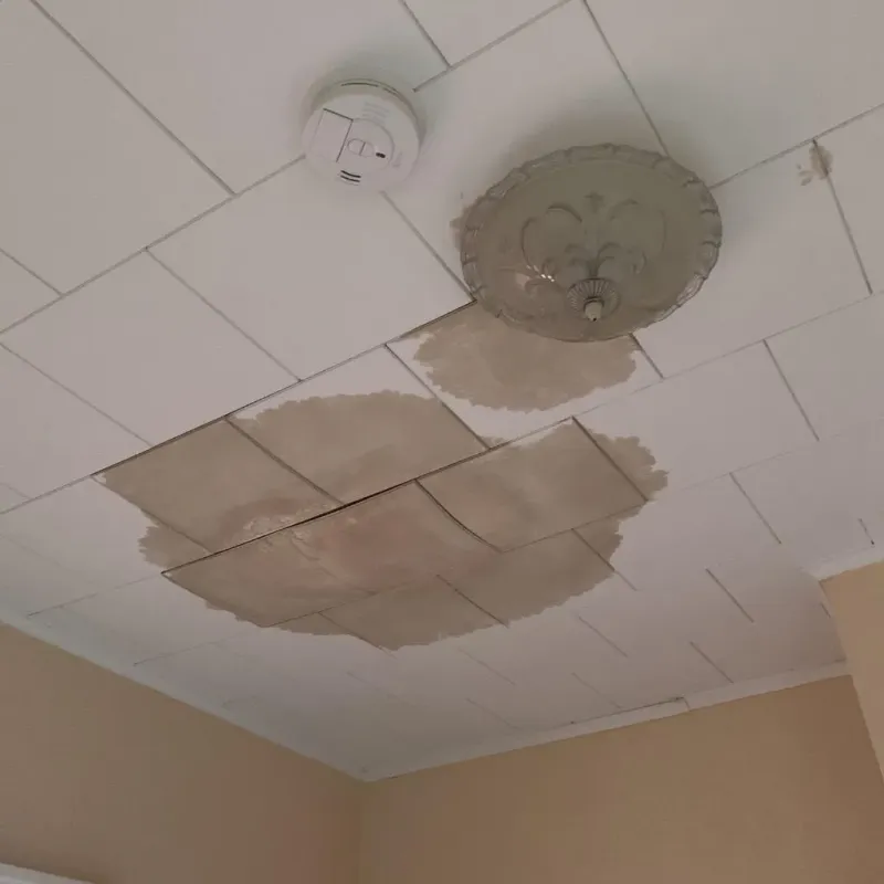 Ceiling Water Damage Repair in Pine Knoll Shores, NC